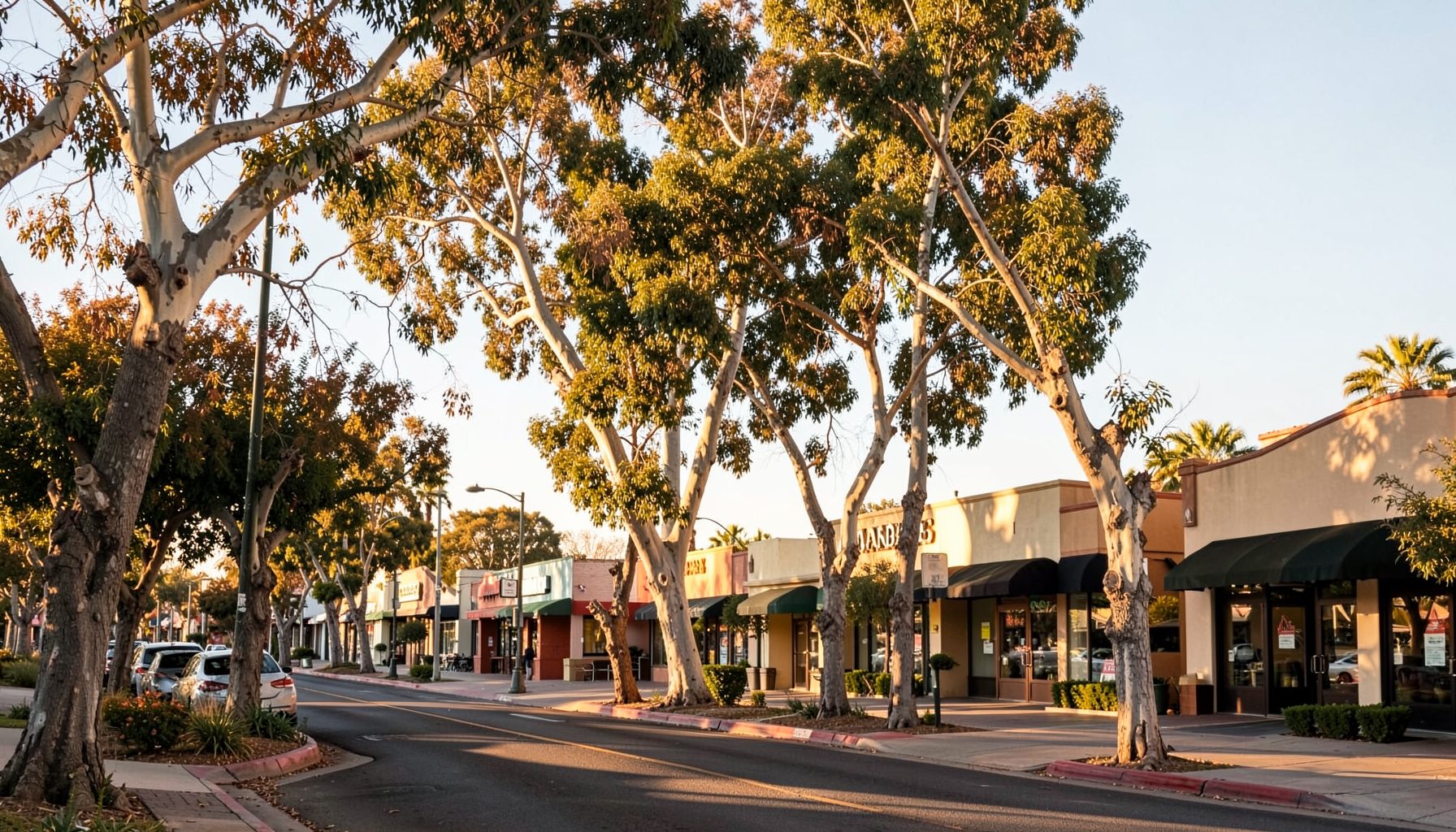 Sunlit California streetscape with mature trees and low-rise commercial buildings under a warm golden sky